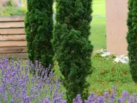 Gartengestaltung Andreas Jakob GmbH