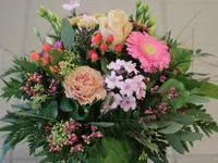 Blumen Ball GmbH
