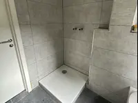 Sanierungslöwen Tayfur