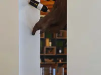 Kelly's GmbH