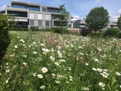 Hofer & Baumann Gartenbau GmbH