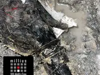 MILLIUS SOS DEGÂTS DES EAUX - RECHERCHE DE FUITE 24/24