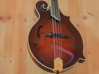 Guitar-Repairs Urs Winkler