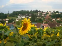 Gemeindeschreiberei Einwohnerkontrolle Kallnach