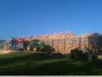Chenuz bois de feu Sàrl