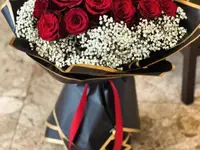 Blumen & Marroni Hajdari GmbH