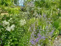 Wildblumendienst
