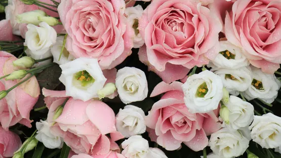 Blumen vom Floristen