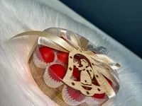Universo Sposa