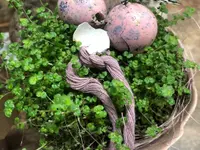 Schaufelbühl AG Blumen und Accessoires, Gartengestaltung
