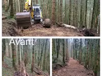 Entreprise forestière