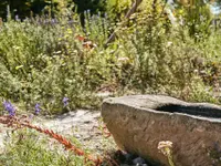 garten•kultur