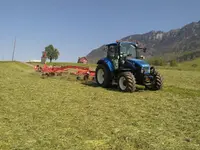 Infanger Alexander GmbH