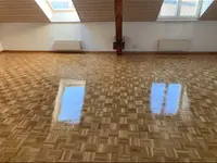 Wagner Parquet