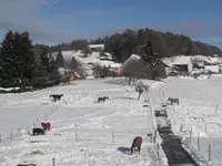 Ranch du p'tit bonheur - Klicken Sie, um das Bild 5 in einer Lightbox vergrössert darzustellen