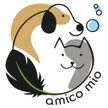 amico mio di Braga