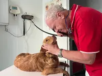 Centro Veterinario Daniele Varini - Klicken Sie, um das Bild 8 in einer Lightbox vergrössert darzustellen