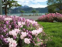Hofstetter Gartenbau GmbH