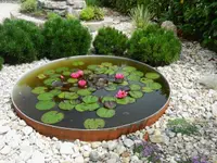 Bösiger Gartenbau AG