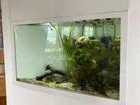 Aquarium-Bassin SARL