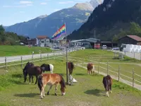 SUN RANCH Organisation