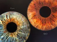 He-Optik GmbH