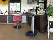 Beauty Shop hair design