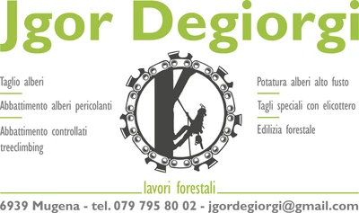 Jgor Degiorgi lavori forestali Sagl