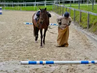 MANEGE DE GRANGES-SUR- MARLY Sàrl