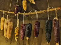 MIQUIZTLI - Cocina mexicana - prochaine ouverture