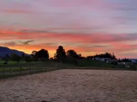 Erlebnisreiten - Klicken Sie, um das Bild 10 in einer Lightbox vergrössert darzustellen