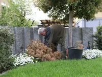 Gartenbau Steinmann - Klicken Sie, um das Bild 7 in einer Lightbox vergrössert darzustellen