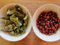 Praxis für Akupunktur, TCM, Phytotherapie, Kräutermedizin, Tibetische Medizin