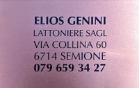 Logo Elios Genini Lattoniere Sagl