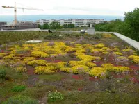 DULLA PARCS ET JARDINS SA