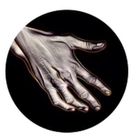 Hands On Therapie - Physiotherapie mit Qualität und Empathie-Logo