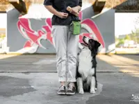 Lina, Hundert Prozent wau, Gesundheit, Training und Unterstützung für Hunde und ihre Menschen, Sandra Egli