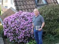BRÜHWILER-GARTENBAU, BAUMPFLEGE