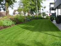 Berisha Gartenbau & Hauswartung GmbH