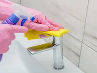 Ecofox Clean Home Services