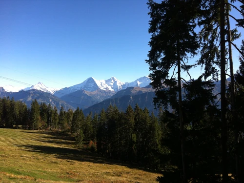 Aare Taxi Interlaken – click to enlarge the panorama picture