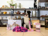 Lina, Hundert Prozent wau, Gesundheit, Training und Unterstützung für Hunde und ihre Menschen, Sandra Egli