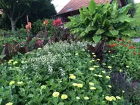 Gander Gartenbau