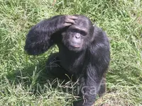 A + M Africa Tours GmbH