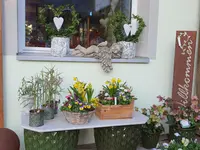 Blumen und Pflanzen
