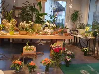 Blumen und Pflanzen