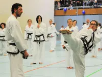 Taekwon-Do Terranova Zürich – Cliquez pour agrandir l’image 8 dans une Lightbox