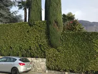 RICCI CHRISTIAN - GIARDINIERE