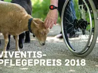 Stiftung Hofmatt
