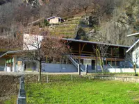 Azienda Agricola Rodoni Paolo